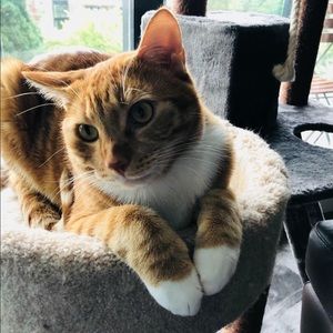 Meet your Posher, Portia